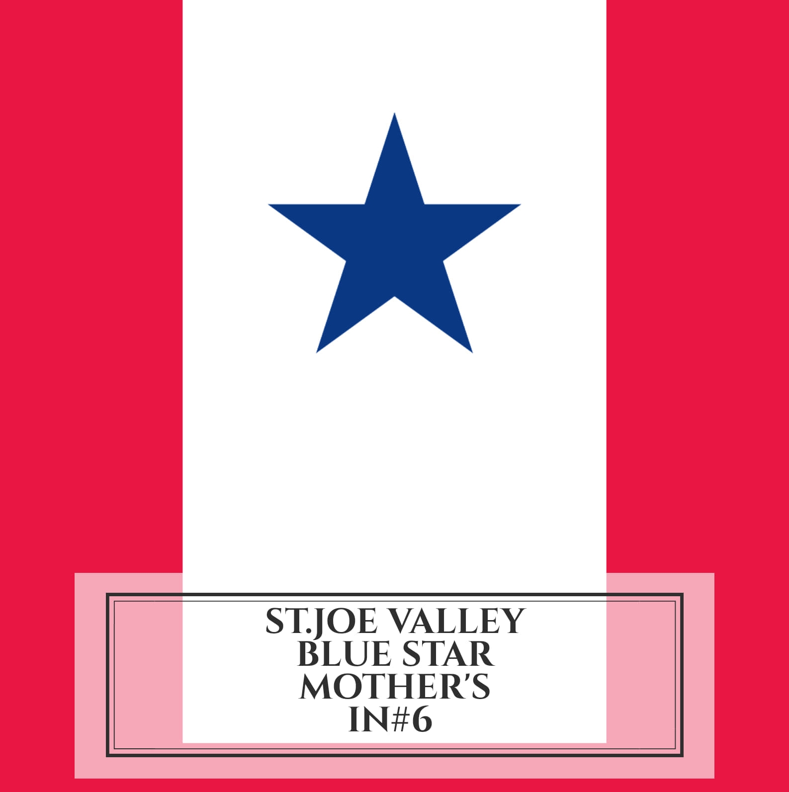 St. Joseph Valley Blue Star Moms #6